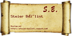 Steier Bálint névjegykártya