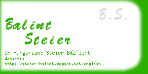 balint steier business card